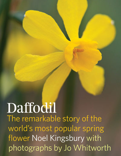 daffodil the remarkable story of the worlds most famous spring flower