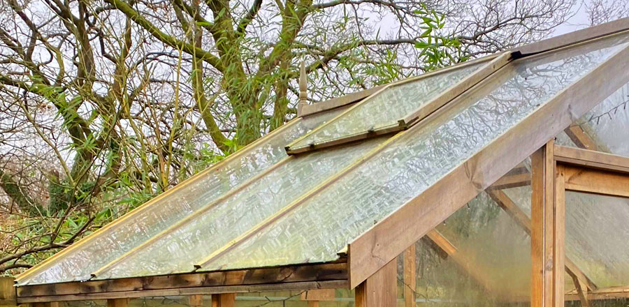 algae build up on greenhouse roof