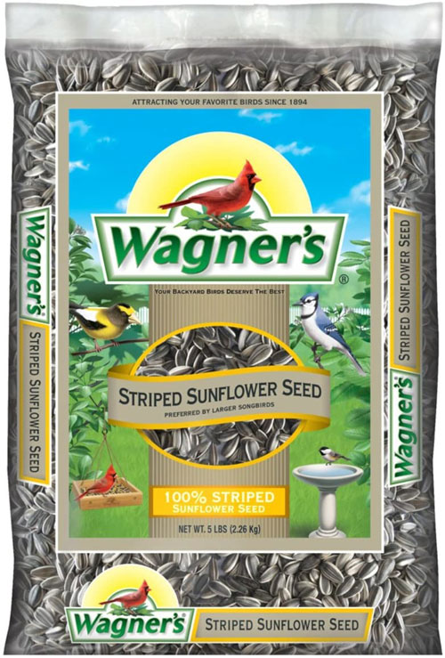 Striped sunflower seed